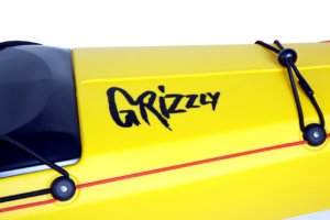 2019 Grizzly Detail 2